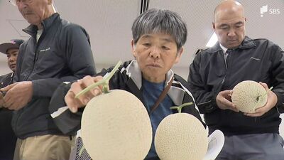 「見た目も美しく網目の張りもいい」糖度14度以上 贈答用に人気のハウスメロン 出荷ピークを前に浜松市で目ぞろい会