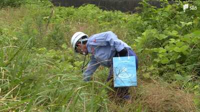 川が増水したときリスクの高い場所などを確認 台風シーズンを前に大井川堤防で合同点検=静岡