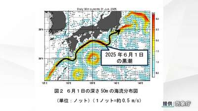 黒潮が「大蛇行していない」状況を確認 気象庁の海洋気象観測船「凌風丸」が観測 紀伊半島から東海沖で