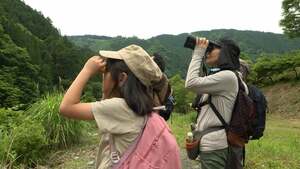 「関心を持って行動を起こせば」ヤマセミの生息状況をみんなで調査 静岡・川根本町で暮らす“絶滅危惧種”