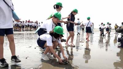 「御前崎の砂浜に元気な姿で戻って来てくれたら」小学生が学校で育てたアカウミガメを海に放流＝静岡・御前崎市