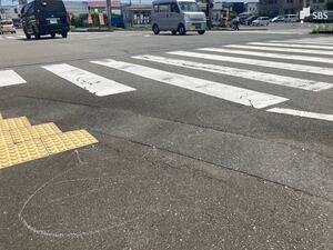 赤信号無視か…集団登校中の横断歩道を渡っていた10歳男子小学生をはねけがさせたとして車運転の60代女を逮捕＝静岡県警