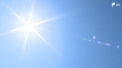 「地獄だね。早く涼しいところで…」静岡市で37℃超 2025年初の猛暑日 熱中症への警戒必要