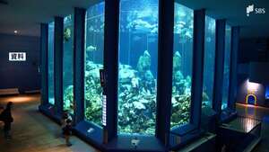 「三保の水族館」半世紀の歴史終える…東海大学が「海洋科学博物館」取り壊し決める＝静岡・清水区