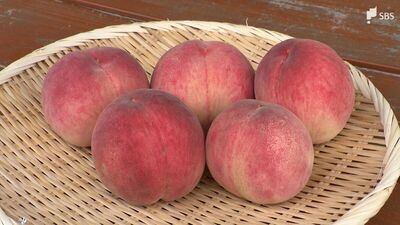 ジューシーな果肉と濃厚な甘みが特徴 静岡が誇るブランド「長田の桃」梅雨時期の対策は？【くるちゃんさんぽ】