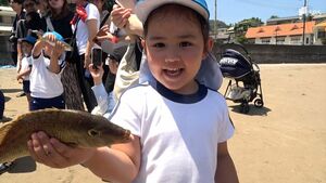 「楽しい」「プニプニする」地引き網漁を子どもたちが体験 生き物や環境の大切さを学ぶ=静岡