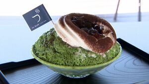 「今や静岡の夏の風物詩」静岡茶を使ったかき氷が楽しめる『茶氷プロジェクト』開幕 約60店舗が参加