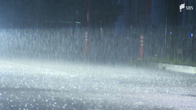 台風15号 静岡県内には5日夕方最接近 昼過ぎにかけ雨、風強まる 倒木で交通規制も