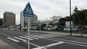 18歳女子高校生がワンボックスカーにはねられ重傷 運転手の男を逮捕=静岡県警