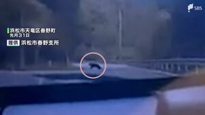 「クマだ!」ドラレコに“黒い物体” 浜松市が対策費を補正予算案に計上 捕獲報奨金も1人1万円に引き上げ【静岡】