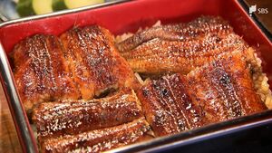 「入ってこないと死活問題」ウナギ規制案“否決”に安堵も… 県内の関係者は資源回復に向けた取り組みを進める =浜松市