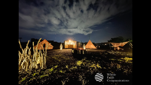 Whole Earth Communications