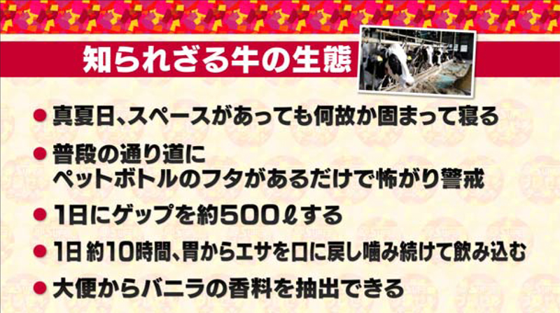 ちーず工房のなか