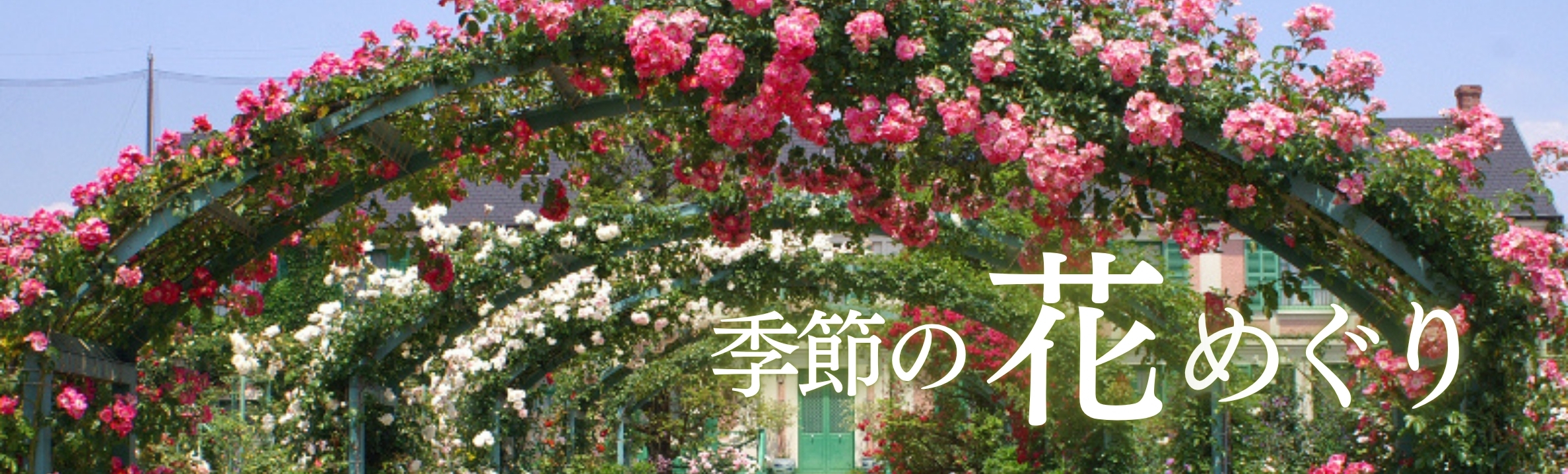 花めぐり