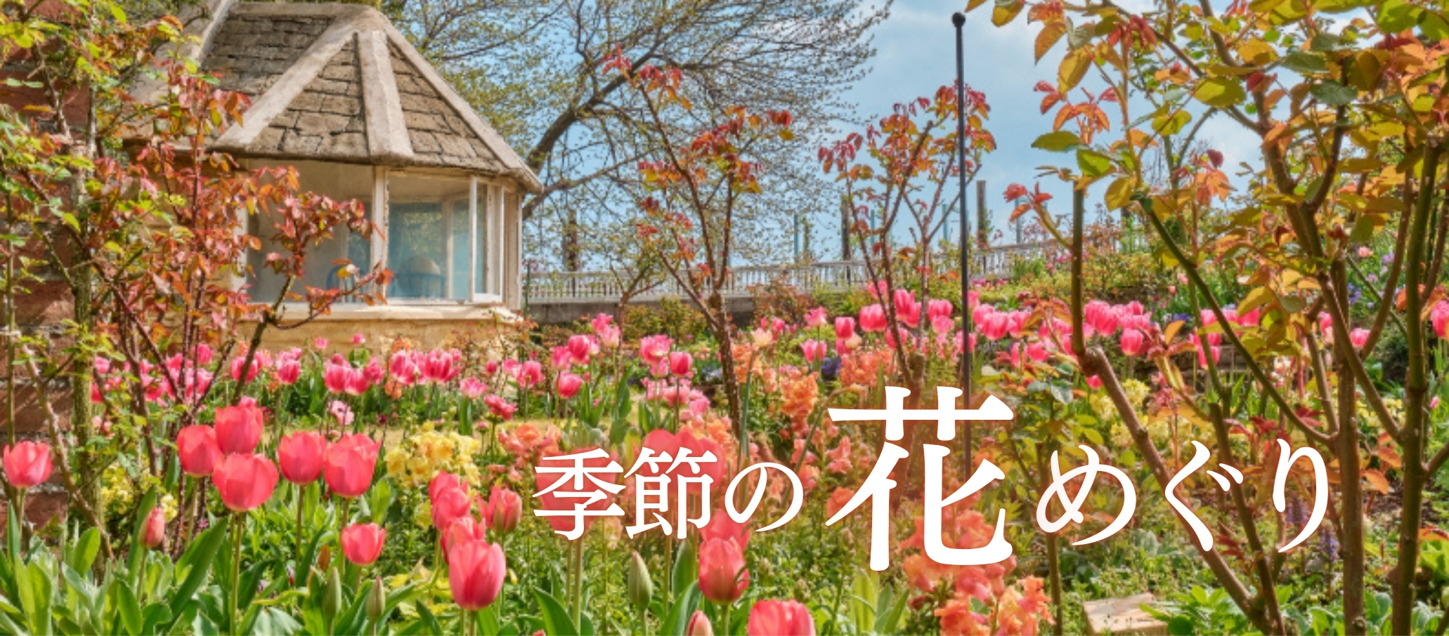 花めぐり