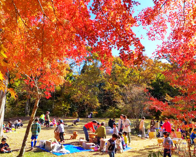 静岡県の絶景紅葉スポット 見頃 名所ガイド 静岡新聞sbs アットエス