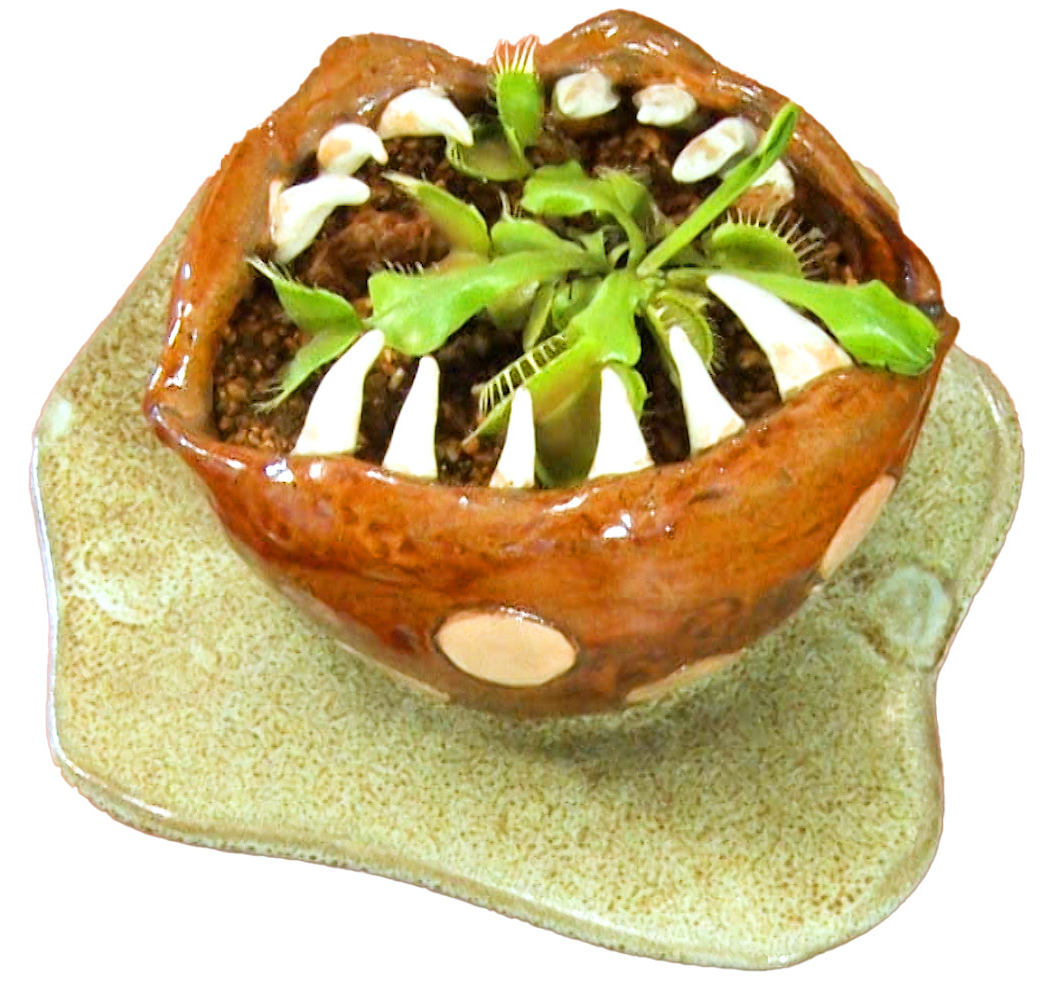 山之内すず「食虫植物喰い植木鉢」