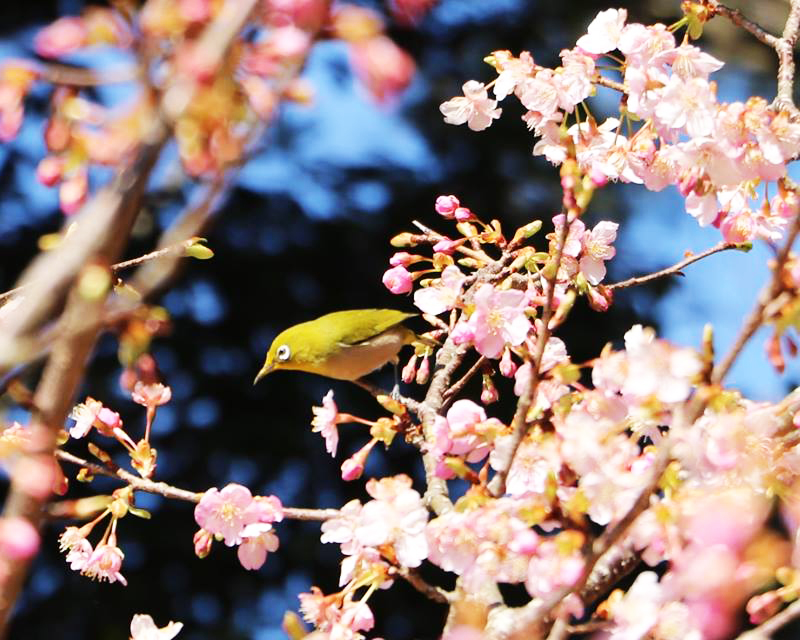 六仙の里公園