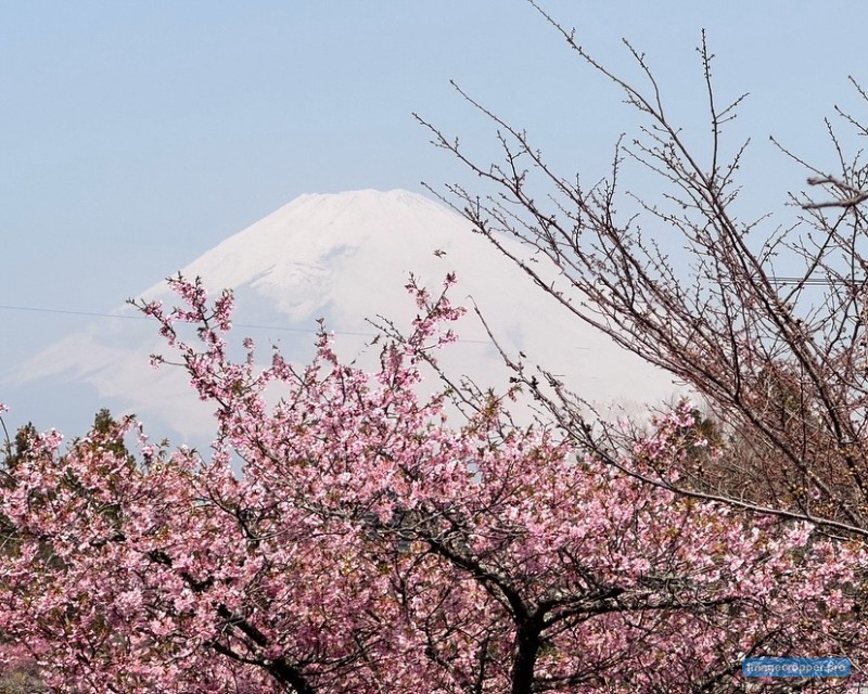 時之栖