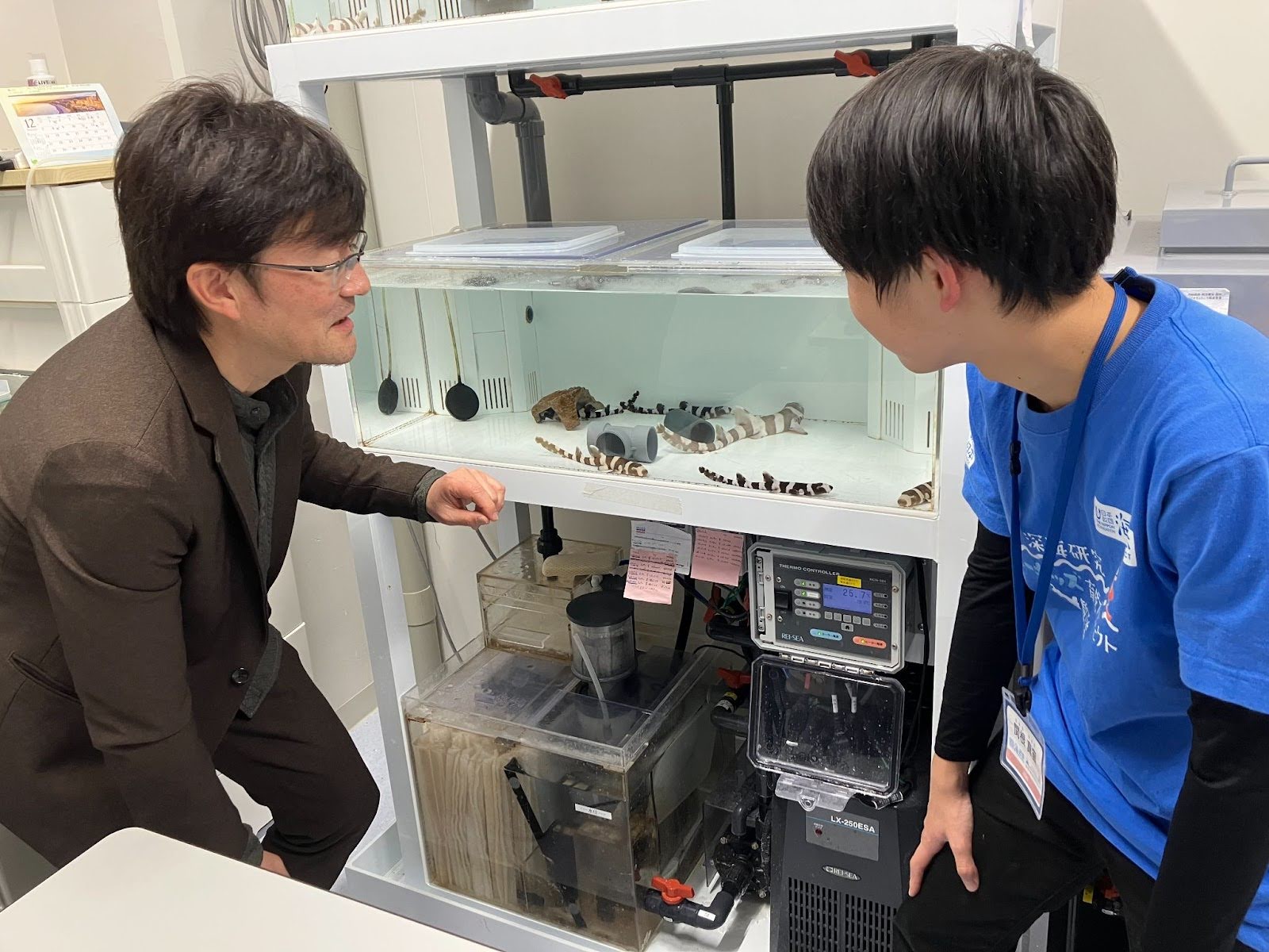 「専門家との個別面談」」を開催しました!"