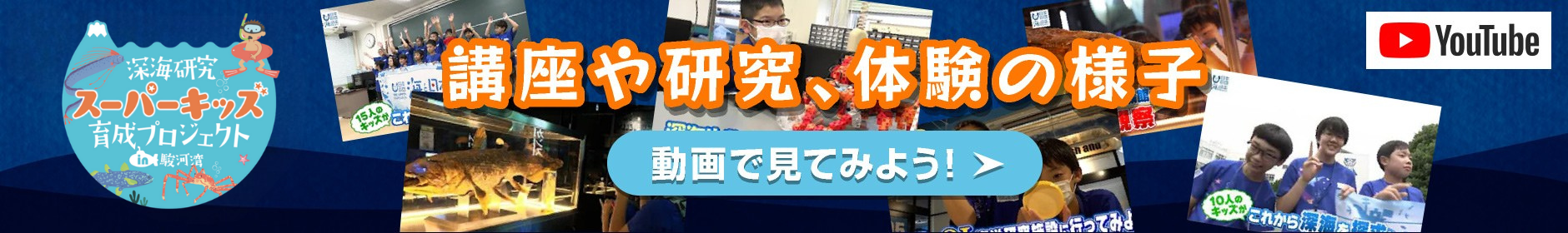講座や研究、体験の様子を動画で見よう！