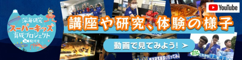 講座や研究、体験の様子を動画で見よう！