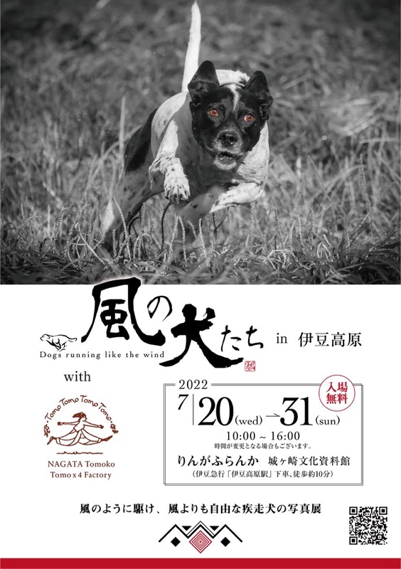 風の犬たち 写真展 伊東市 アットエス