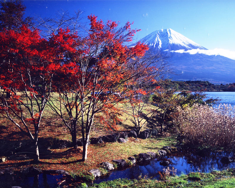 田貫湖の紅葉 富士宮市 アットエス