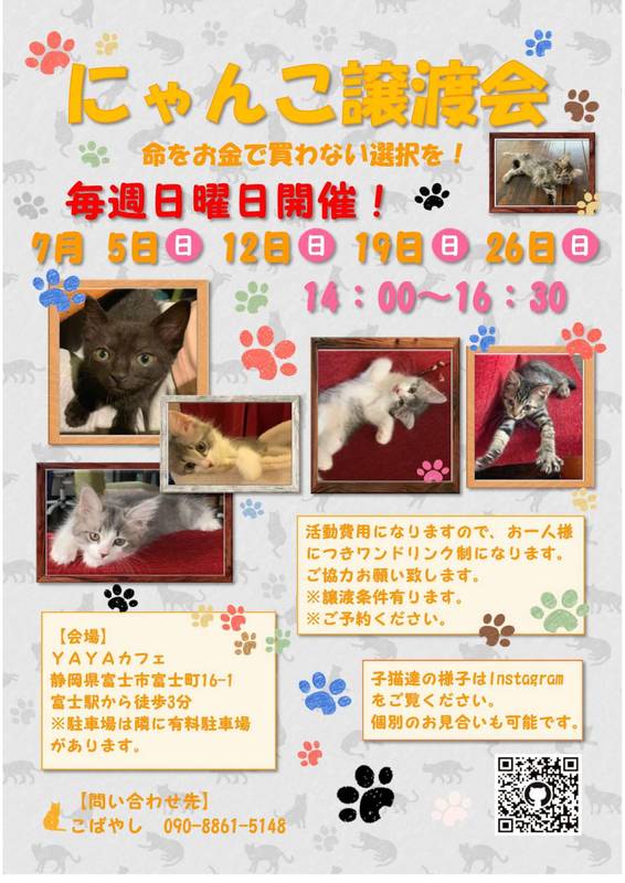 にゃんこ譲渡会［富士市］｜アットエス