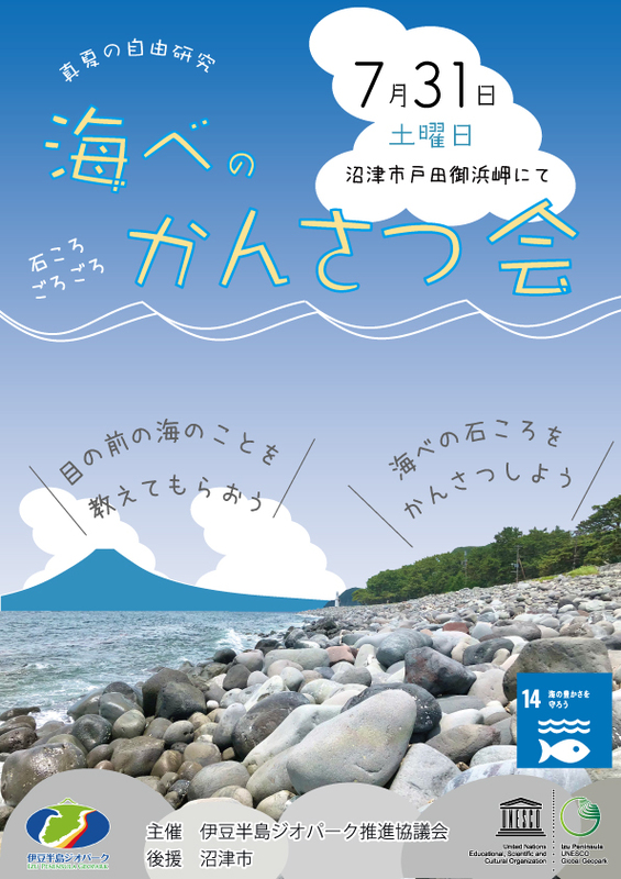 真夏の自由研究　海べのかんさつ会