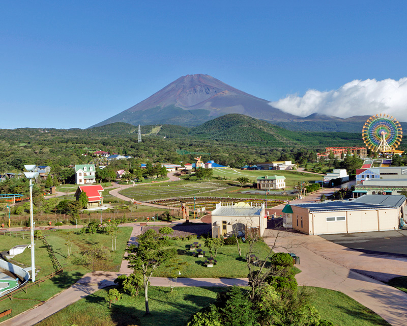 富士山周辺の必ず行くべき王道観光スポットで丸1日過ごそう 静岡新聞sbs アットエス