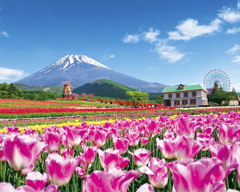 富士山周辺の必ず行くべき王道観光スポットで丸1日過ごそう！