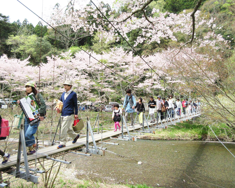 家族でお花見！ファミリーで楽しめる静岡の桜スポット｜静岡新聞SBS
