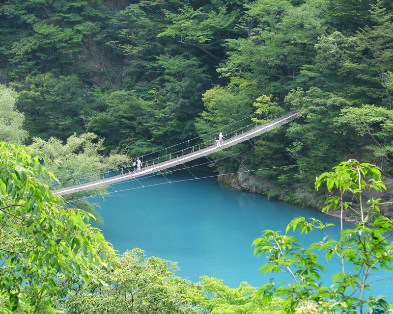 又 の 寸 峡 吊橋 夢