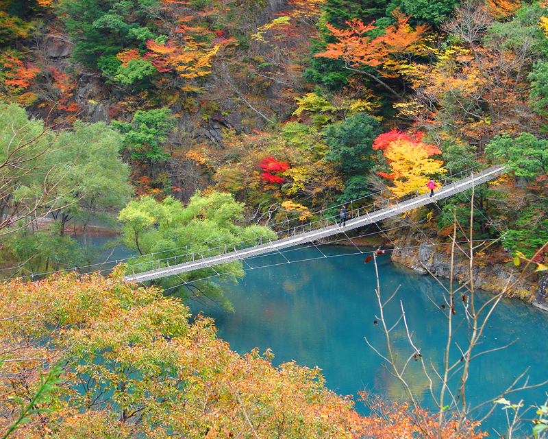 又 の 寸 峡 吊橋 夢