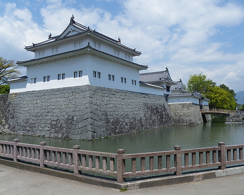 城 公園 駿府 駿府城公園