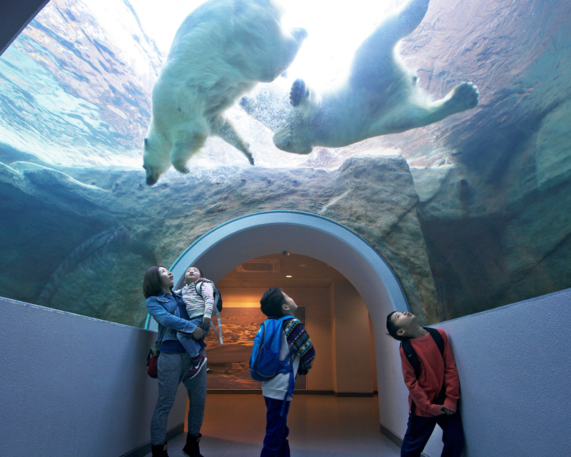 静岡市立日本平動物園 静岡市駿河区 アットエス