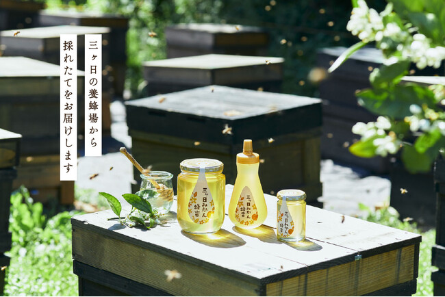 朝採れ生はちみつ、そのまま瓶へ」長坂養蜂場、鮮度0日！2026年新蜜