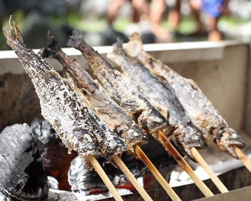 やまめ平 釣り体験