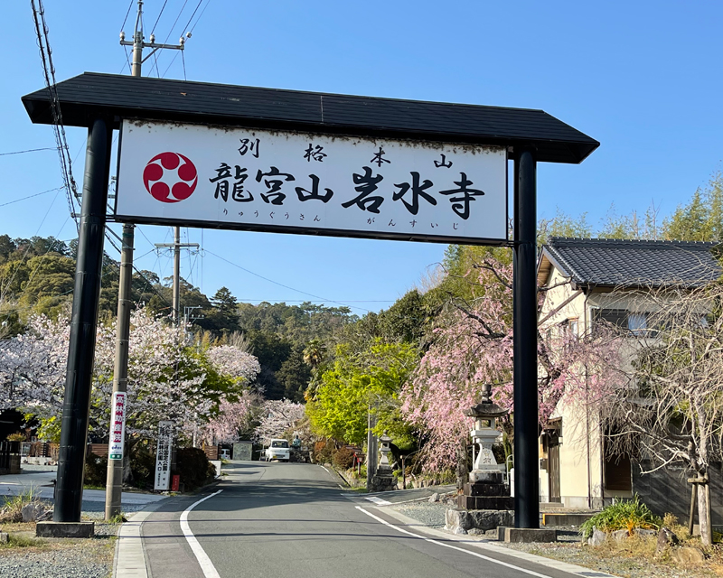 岩水寺 桜の見頃