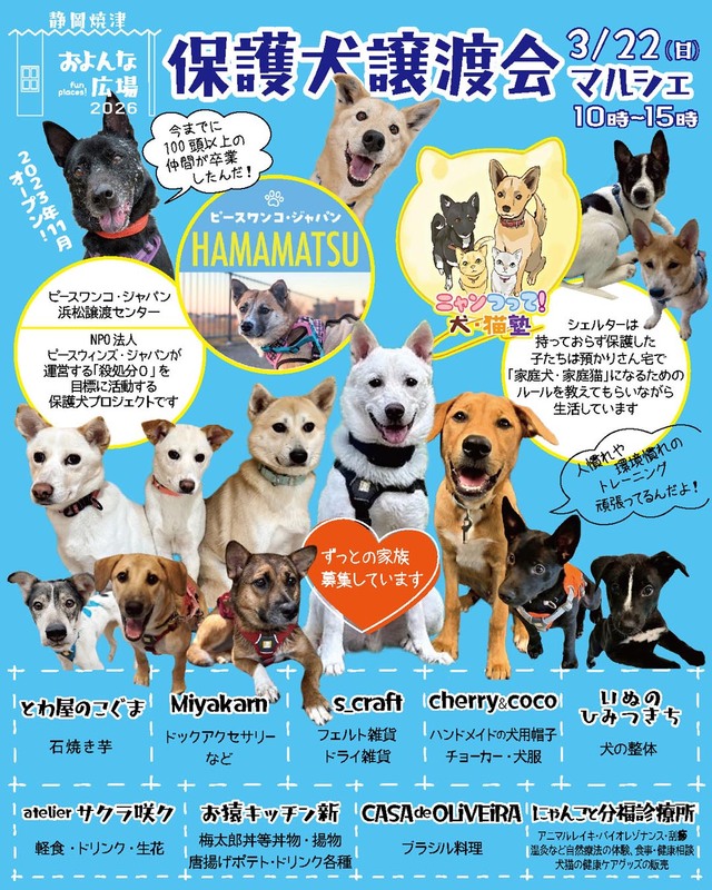 およんな広場 保護犬譲渡会マルシェ
