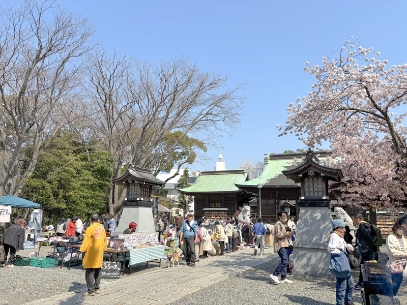 沼津丸子浅間神社／花見市フリーマーケット＆ライブ