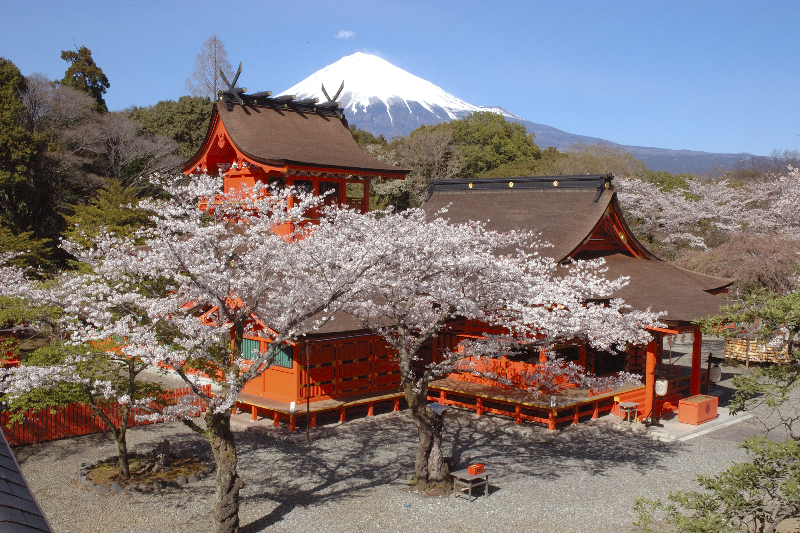 桜花祭<富士山本宮浅間大社>