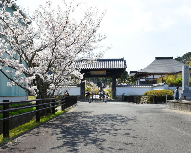 本興寺 花まつり