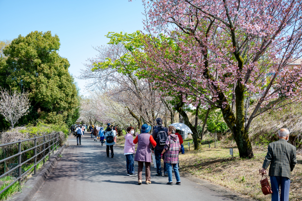 国立遺伝学研究所 一般公開