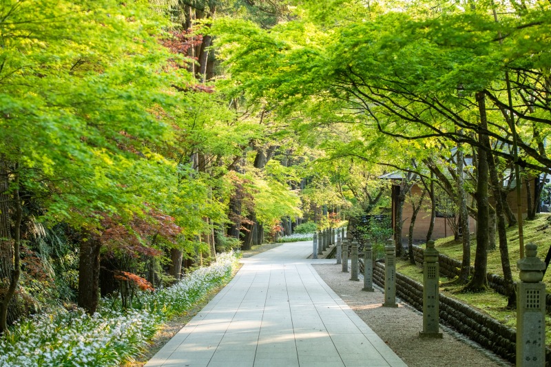 法多山 茶だんご