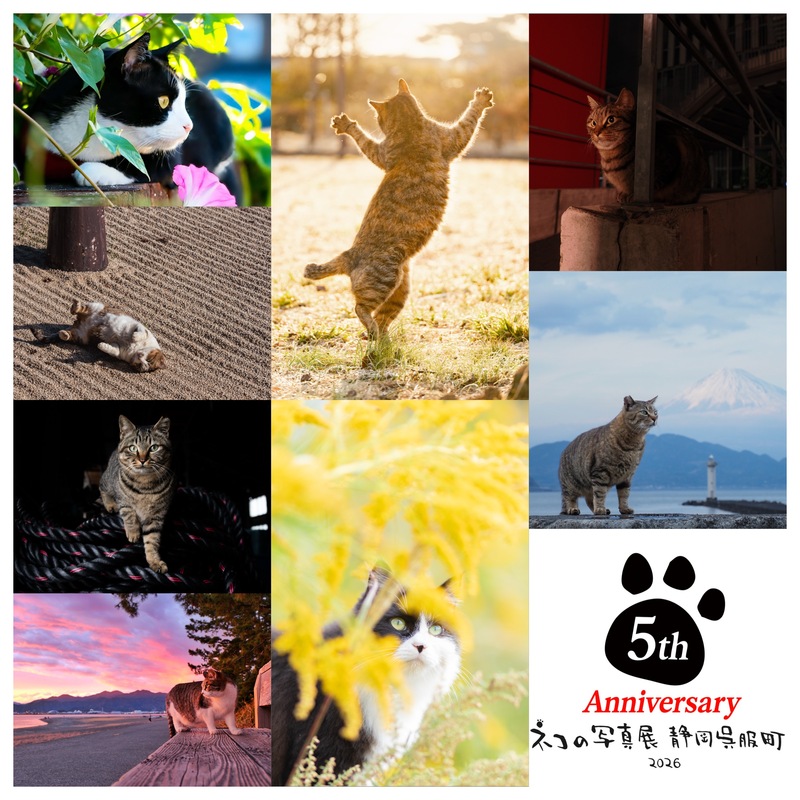 ネコの写真展