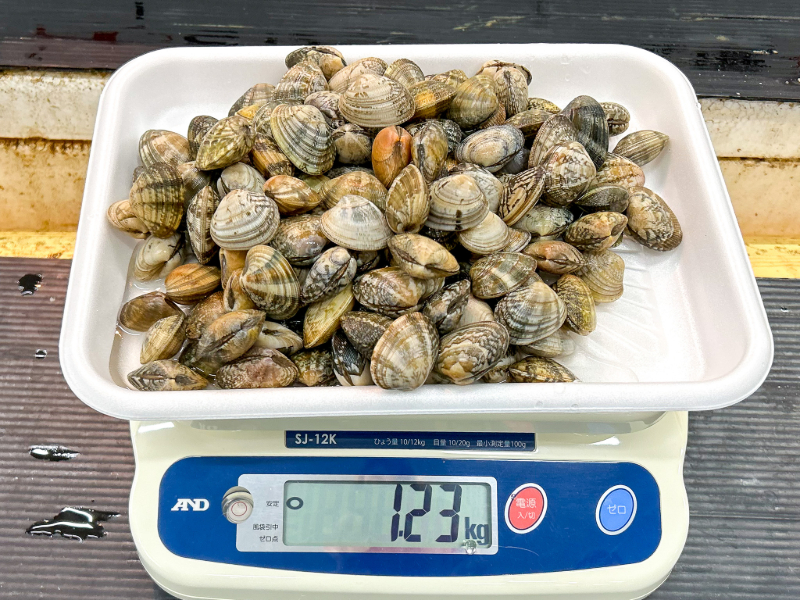 小倉屋】詰め放題と特売だらけ！静岡市・流通センターの食品問屋で月1