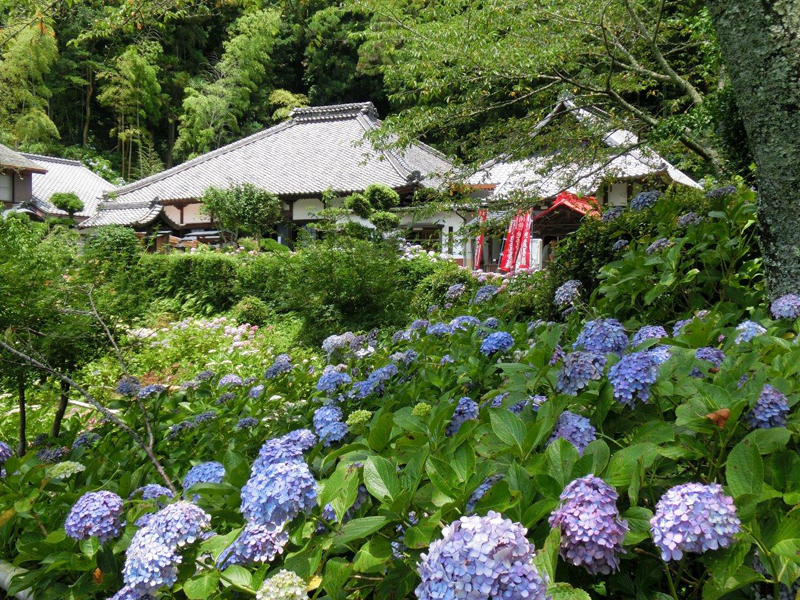 極楽寺