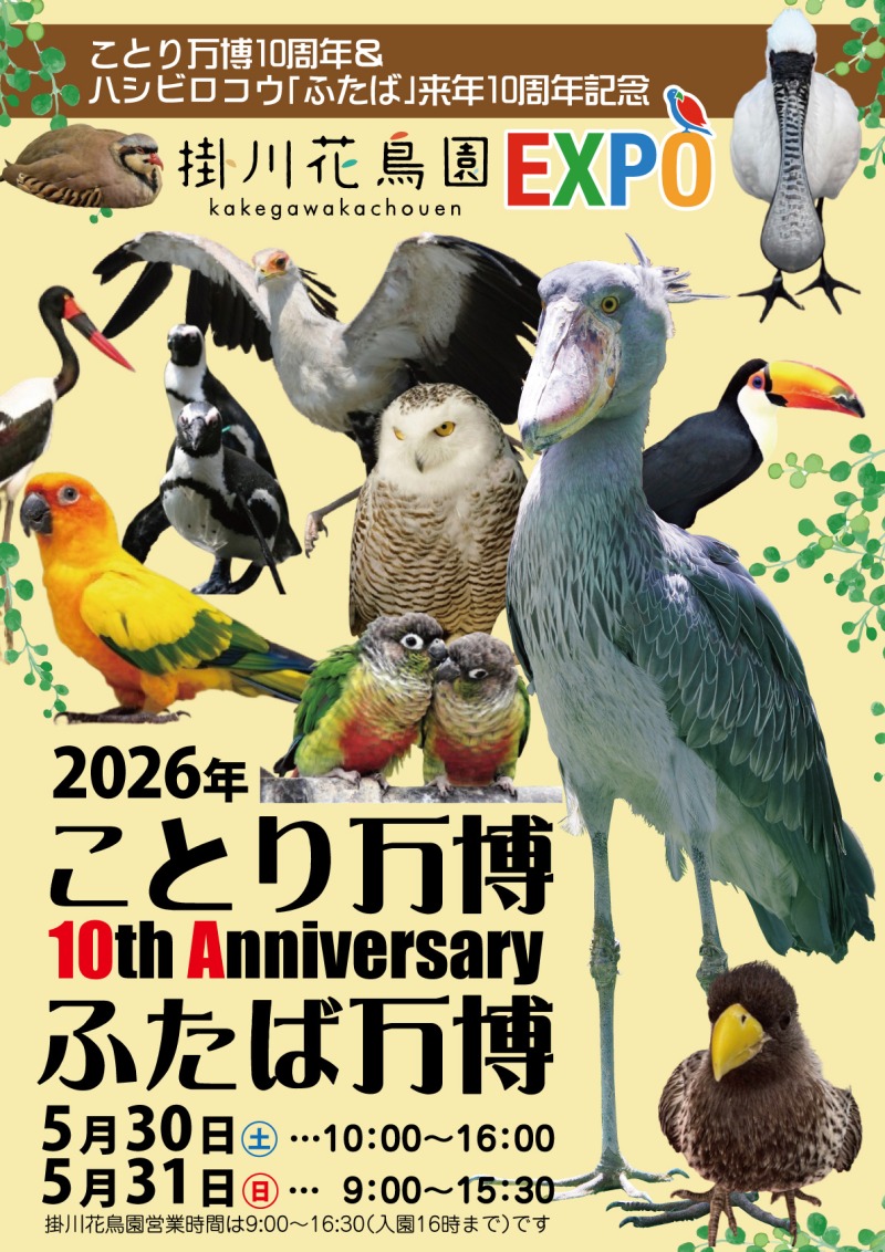 ことり万博 ふたば万博 掛川花鳥園